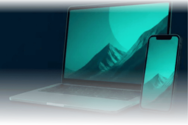 We offer web design and development packages